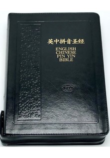 CUNP / KJV Pinyin Bible