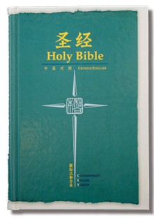 CUNP / CEV Large Print Bible